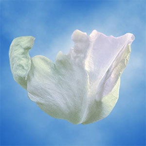 Guard Petal Example Image 2