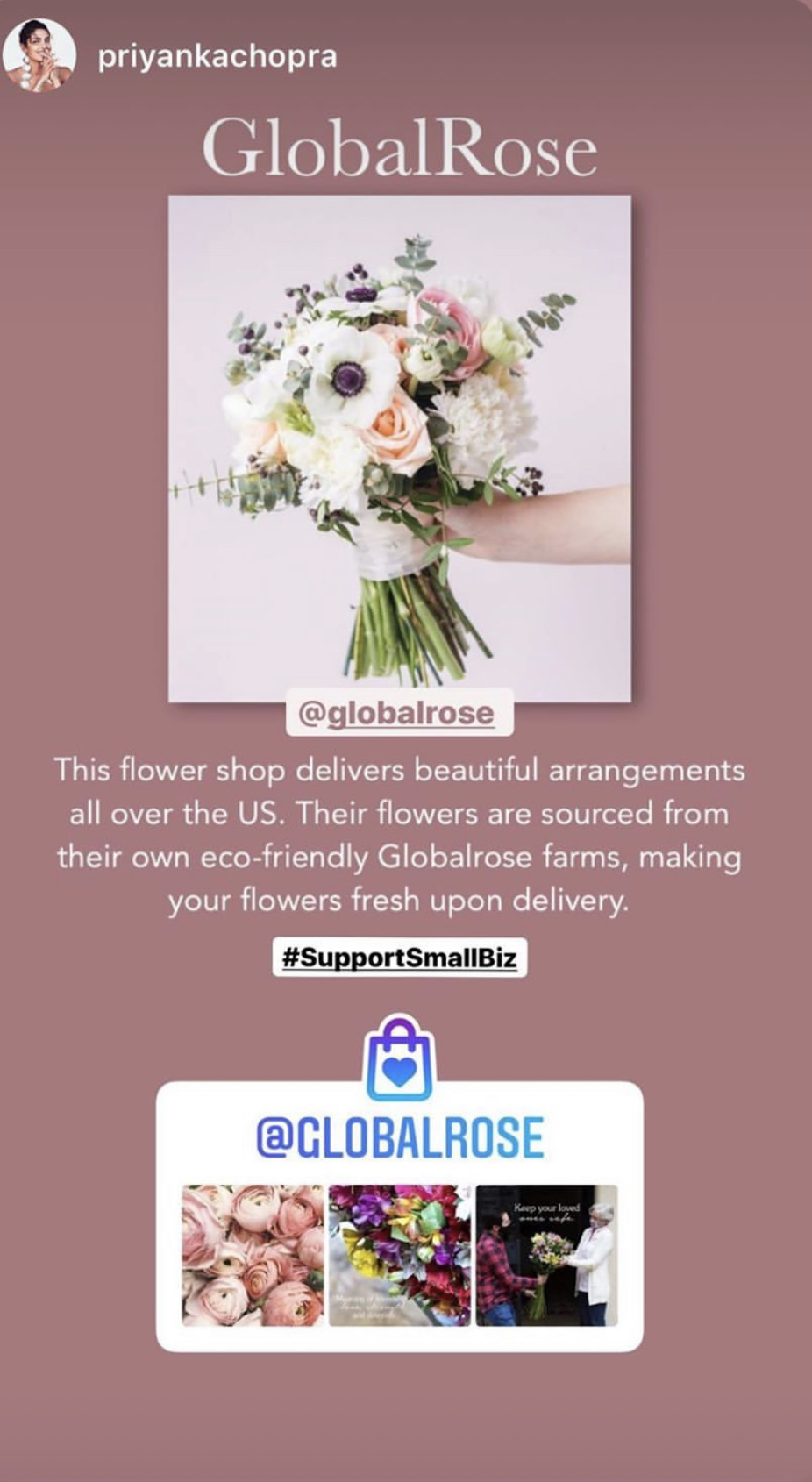 Priyanka Chopra Instagram Globalrose SmallBiz